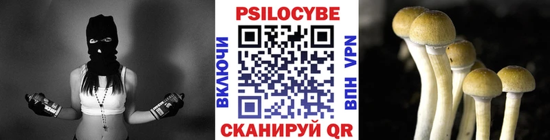 Псилоцибиновые грибы Magic Shrooms  Куртамыш 